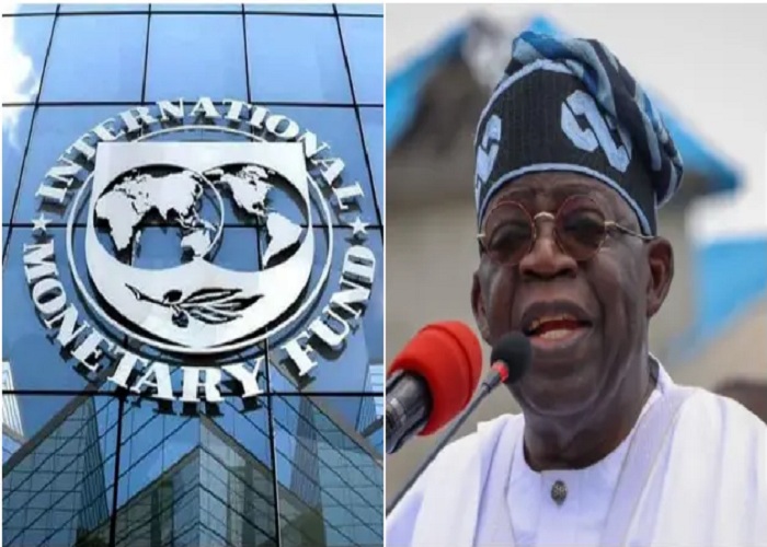 tinubu imf